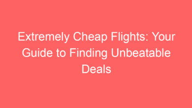Luxury Cheap International Flights Deals - Unbeatable Deals For Your Next Trip